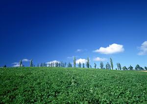 静岡県焼津市に新たに誕生した家族葬専門斎場｜家族葬のタクセル西焼津の特徴と利用メリット