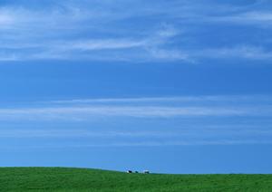 静岡県浜松市の家族葬に最適な斎場 – 富士葬祭佐鳴台の特徴と店舗情報