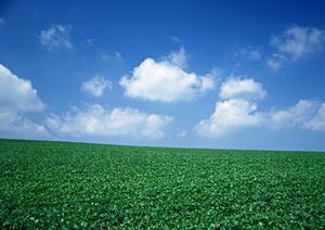 静岡県藤枝市に新登場！家族葬専門の斎場「家族葬のタクセル高柳」の特徴とサービス内容