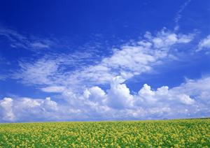 静岡県富士宮市に新規オープン！家族葬専門の斎場「家族葬のタクセル宮原」の特徴と魅力