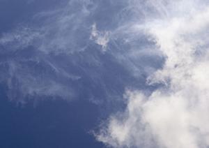 信頼と実績の地元密着型レストラン：〇〇ダイニングの魅力と詳細情報