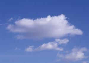 静岡浜松市の家族葬専門斎場「タクセル葵西」：低価格で安心の家族葬サービスを提供